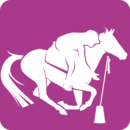 Logo Pony Games listitem no crop