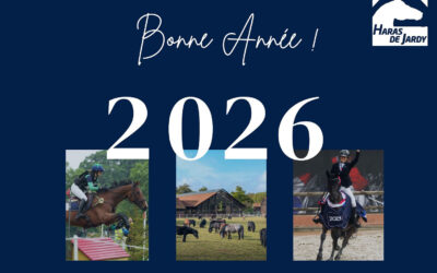 Les activités au club