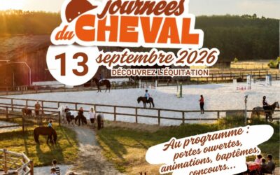 Les activités au club