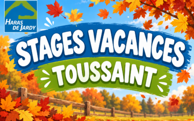 Les activités au club