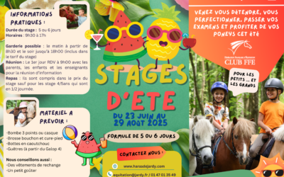 Stages été