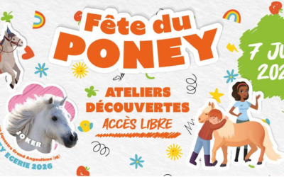 Les activités au club